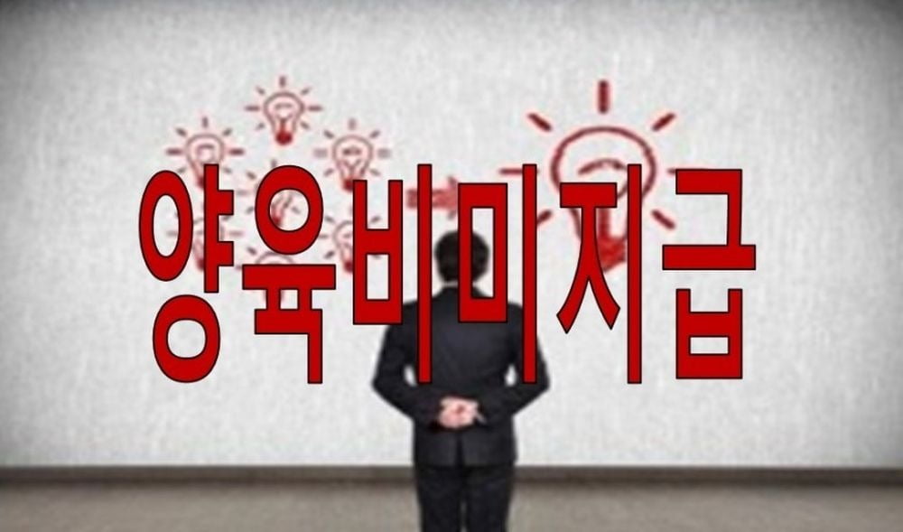 '양육비 미지급자 신상공개' 배드파더스 운영자, 유죄 확정 | 마인드 다지기